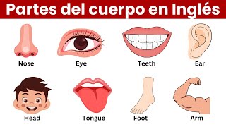 Las Partes del Cuerpo en Inglés [upl. by Gould826]