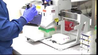 23andMe DNA Processing Lab Video [upl. by Wren319]