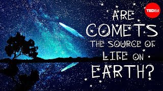 Could comets be the source of life on Earth  Justin Dowd [upl. by Lacie636]