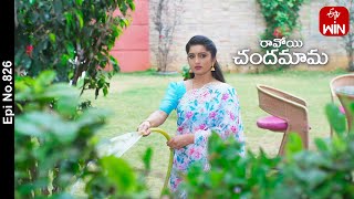 Ravoyi Chandamama  14th December 2023  Full Episode No 826  ETV Telugu [upl. by Phillis942]