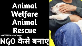 How to Start and register animal welfare NGO [upl. by Enialb]