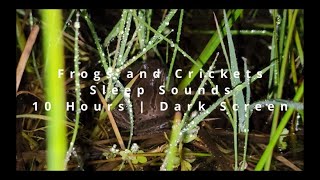 Frogs And Crickets  10 Hours Dark Screen  Sounds For Sleep [upl. by Beuthel]