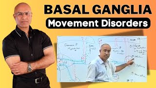 Basal Ganglia and Movement Disorders  Neurology [upl. by Trenton]