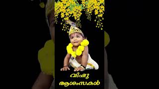 Our Ltl KrishnanGourang baby9 months old baby first vishu Happy vishu Every GouriAchasGaaru [upl. by Ainesej]