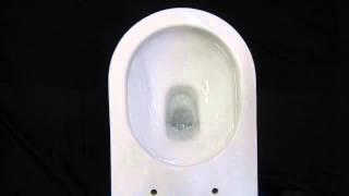 TOTO hygienic toilet  Powerful flush [upl. by Dragde]