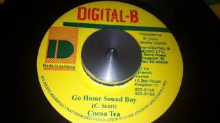 Cocoa Tea  Go Home Soundboy [upl. by Althea]