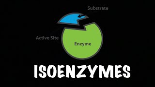 Isoenzyme  Enzymes  Biochemsitry [upl. by Lorena]