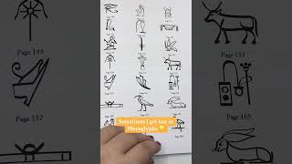 Write Hieroglyphs Like an EGYPTIAN Hieroglyphic Calligraphy for Beginners Level up your creativty [upl. by Nedlog391]