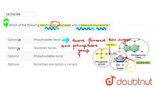 Whichof the following bond is notassociated with a deoxyribonucleotide  CLASS 12  MOLECULAR B [upl. by Pisarik]