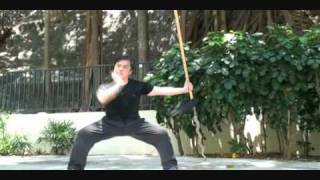 Hung Shing Choy Lee Fut [upl. by Demodena]