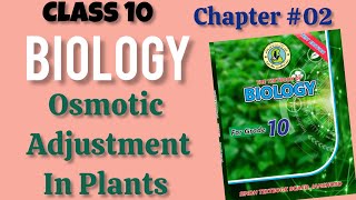 Osmotic adjustment in Plants  Homeostasis Chapter 02 10th biology Sindh board [upl. by Ahsinelg]