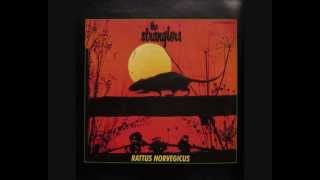 The Stranglers Rattus Norvegicus04 Princess Of The Streets [upl. by Annayehc345]