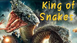 King Of Snake full movie Explained in Hindi  Urdu kingofsnakes [upl. by Bevash]