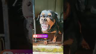 Angry Dog Barking compilation Funny video [upl. by Reagan373]