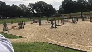 Sunshine tour Hickstead 90cm 6th [upl. by Aicilehp965]