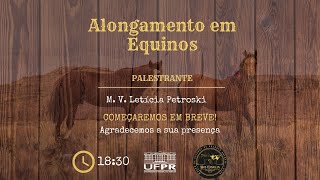 Alongamento em Equinos  M V Letícia Petroski [upl. by Maddocks]