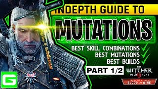 The Witcher 3 Blood amp Wine New Mutation Skill System Full Explanation Build Guide Tutorial PART 12 [upl. by Angelica]