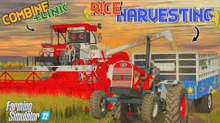 Rice Harvesting🌾 Fs22  Tractor Combine Fs22 With Link  Fs22 Indian Tractor Mod [upl. by Sungam]