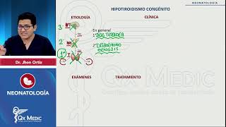 Hipotiroidismo congénito  Neonatología [upl. by Daney]