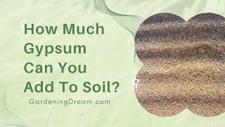 How Much Gypsum Can You Add To Soil [upl. by Clementia]