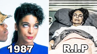 A DIFFERENT WORLD 1987–1993 Cast THEN AND NOW 2024 How they changed [upl. by Ahsiner598]