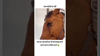 Ye bhi jiv hai itna to mat satao saveanimals dard bedlife verified disclaimer struggle short [upl. by Murray224]