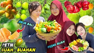 Petik buahbuahan dikebun  Rujak buah segar [upl. by Haorbed302]