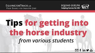 Tips for getting into the horse industry with online students [upl. by Aneen293]