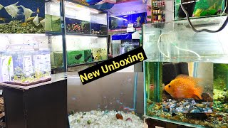 Neon tetra  oranda gold fish  short body horn fish Unboxing 😁 4K HIGH FR30 [upl. by Cloris]