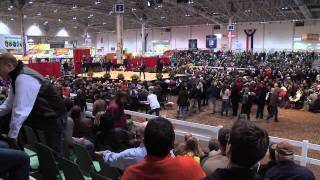 Royal Agricultural Winter Fair 2011 Preview [upl. by Enisamoht]