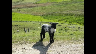 Historical Glencolmcille Co Donegal [upl. by Atiras]