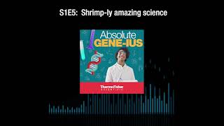 Absolute Geneius S1E5 Shrimply amazing science [upl. by Haily]