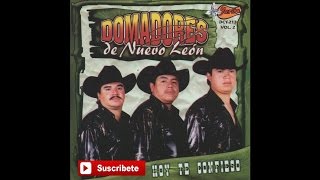 Domadores de Nuevo Leon  La Cumbia del Domador [upl. by Amil]