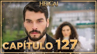 Hercai  Capítulo 127 [upl. by Goodill46]