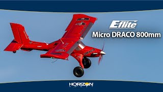 Eflite Micro DRACO 800mm — OfficiallyLicensed Model of Mike Patey’s Ultimate Bush Plane [upl. by Akital]