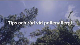 Pollen bäst i test 2024 Tips och råd [upl. by Okemak26]