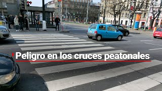 ¿Peatones en PELIGRO  Automovilistas NO siguen reglas de tránsito y afectan cruces peatonales [upl. by Yrffoeg]