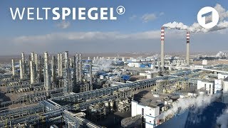 CO2Ausstoß China steht an der Spitze  Weltspiegel [upl. by Nosak662]