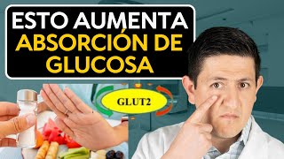 La cantidad de Sal y su impacto en tu Glucosa Dr Antonio Cota [upl. by Aicirt]