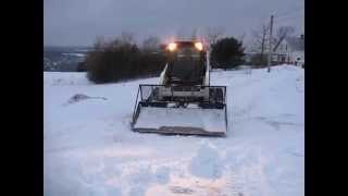 Bobcat Playing in the Snow [upl. by Libove580]