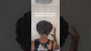 Low porosity 4C hair test takes long to absorb moisture short [upl. by Nodyarb]