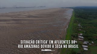 Situação crítica’ em afluentes do rio Amazonas devido à seca no Brasil [upl. by Welcome]