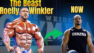 The Beast  Roelly Winkler  Biography in Hindi [upl. by Scandura]