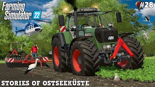 FIRST PLOWING WITH PACKER EVER amp FINISHING GREEN RYE HARVEST🌾🚜💨 Ostseeküste  FS22  Timelapse 28 [upl. by Patric]