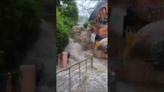 dhareshwar Mahadev ful barish date 5 August 2024dhareshwar mahadev special video viralvideo [upl. by Lindberg]