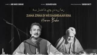 Haroon Bacha  Zama Zra Di We Daghdaar Kha New Pashto Song 2024 [upl. by Nahsyar875]