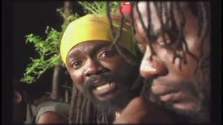 Louie Culture  Too Much Pressure On The Donkey Back  Official Music Video  Reggae Gold 2021 [upl. by Nutter782]