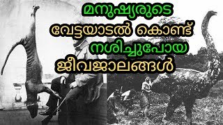 മനുഷ്യരുടെ വേട്ടയാടൽ കൊണ്ട് നശിച്ചുപോയ ജീവജാലങ്ങൾ  Extinct Animals  Malayalam  QNA [upl. by Alioz]