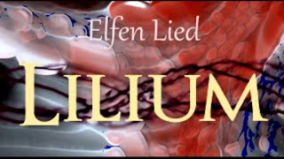 Elfen Lied  Lilium Remix [upl. by Buckler]