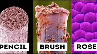 New objects under electron microscope 🔬 [upl. by Adnawot527]